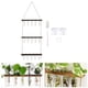 thumbnail image 5 of Estación De Propagación Para Colgar En La Pared, Transparente Con Soporte Para Colgar Junto A La Cama, 5 of 7