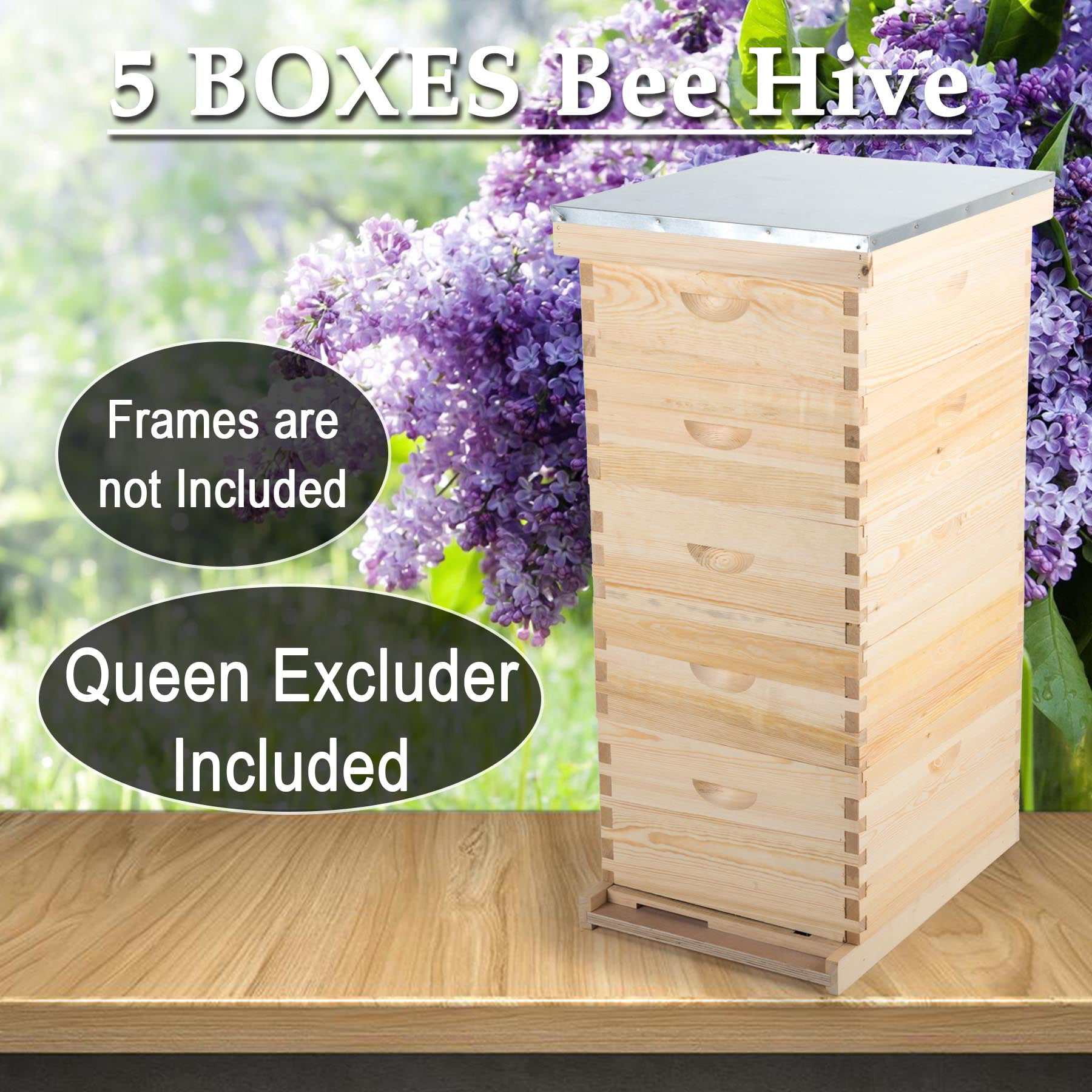 Langstroth Bee Hive 10 Frame 5 Box Free Shipping! 
