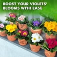 thumbnail image 5 of DUSPRO Recycle Premium 4-in-1 African Violet Potting Soil African Violet Soil Blend with Perlite, Coco Peat, Pumice, Pine Bark for Optimal Moisture Retention & Drainage 1QT, 5 of 7