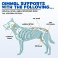 thumbnail image 4 of Oimmal Dogs Joint Aid Drops, Chondroitin & Glucosamine Supplement, for Dogs Joint Health, 2 Oz - Bacon Flavor, 4 of 11