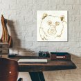thumbnail image 5 of Epic Art  'Gilded Black Bear' by Chris Paschke, 12"x12", 5 of 8