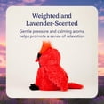 thumbnail image 3 of Peluche Warmies Heated Red Cardinal para microondas, 3 of 6