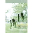 thumbnail image 3 of Exaco Euro Pot Hanging Planter - Set of 2, 3 of 6