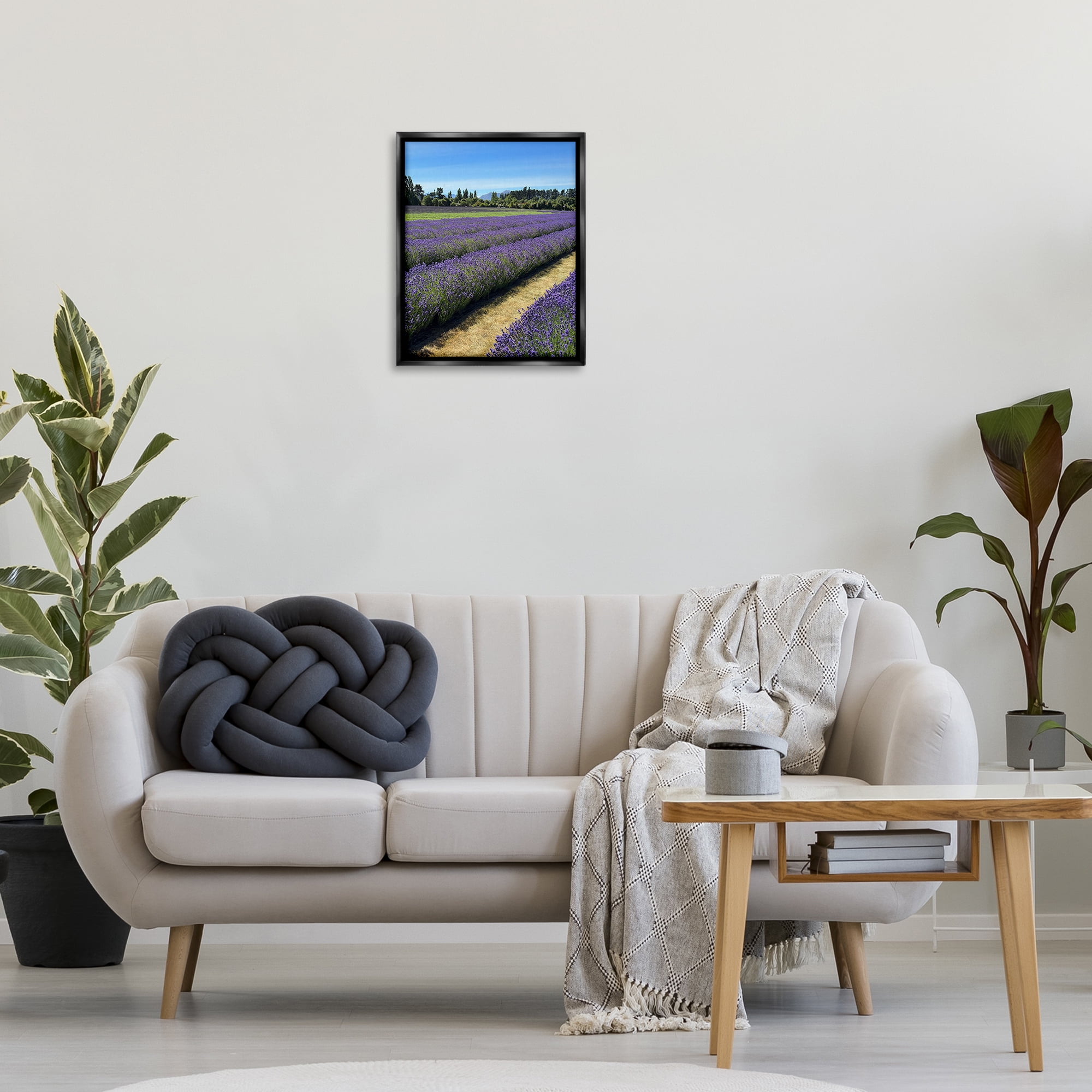 Stupell Industries Lavender Path Landscape Landscape Photography Black Floater Framed Art Print Wall Art, 17 x 21