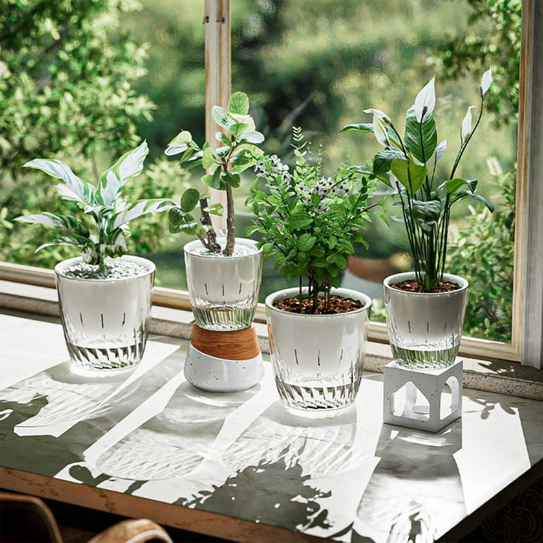 Transparent Self-Watering Flower Pot | Double Layer Planter with Water  Reservoir for Succulents, Herbs, Small Plants | Clear Plastic | Lazy ...