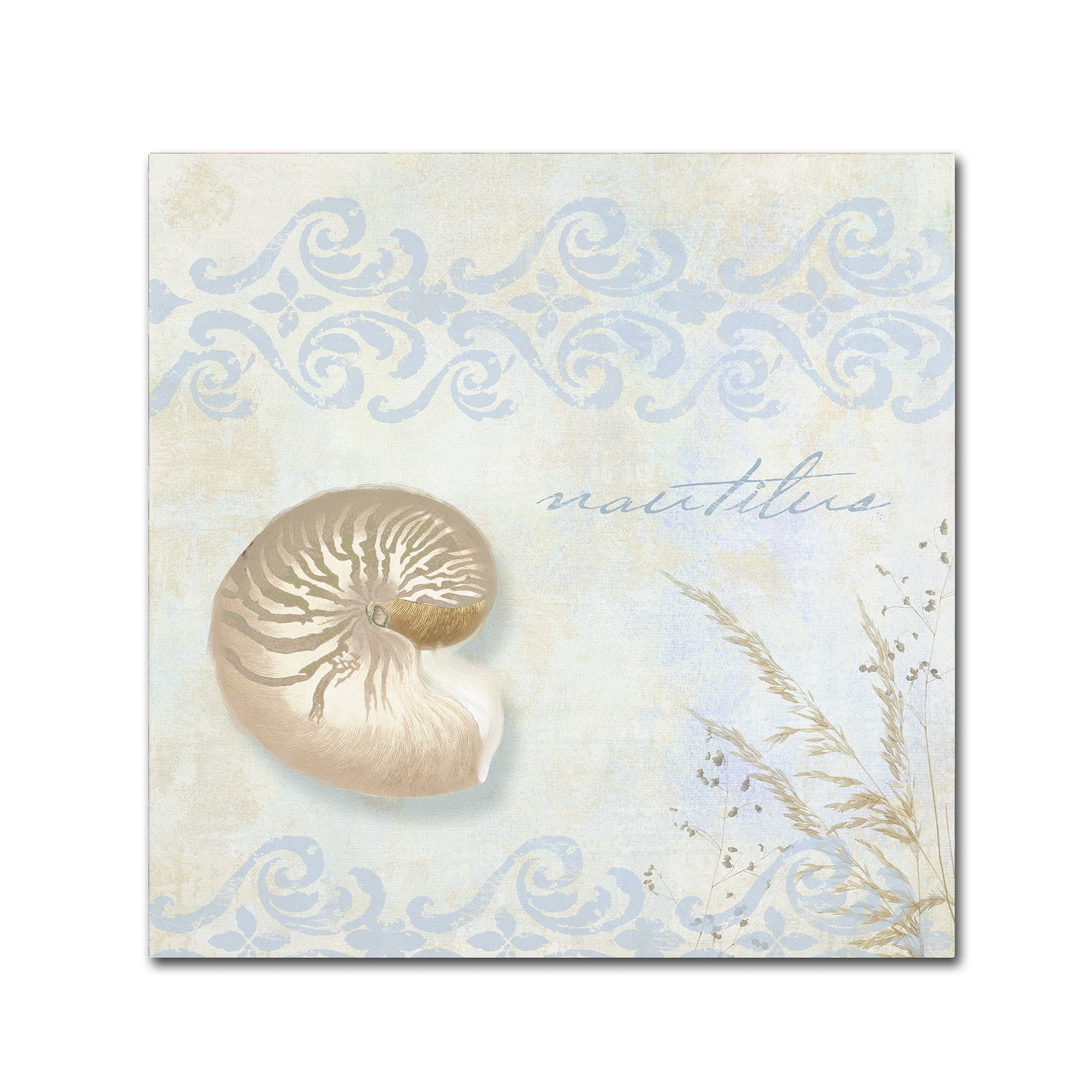 Trademark Fine Art "She Sells Seashells I" Canvas Art by Color Bakery