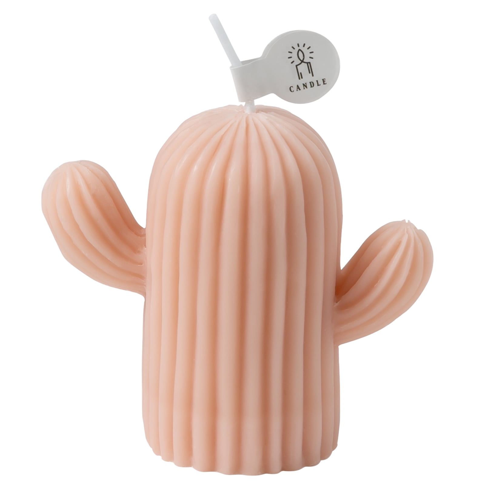 Rejuuv Bougie Parfumée en Forme de Cactus au Parfum de Sauge et de Sel de Mer