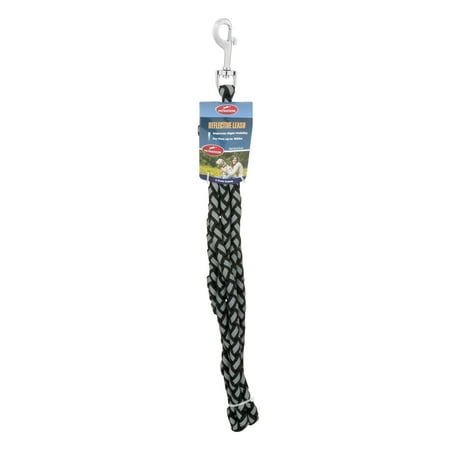 Petnation Black Reflective Leash For Pets Up To 100 Pounds, 5-Foot