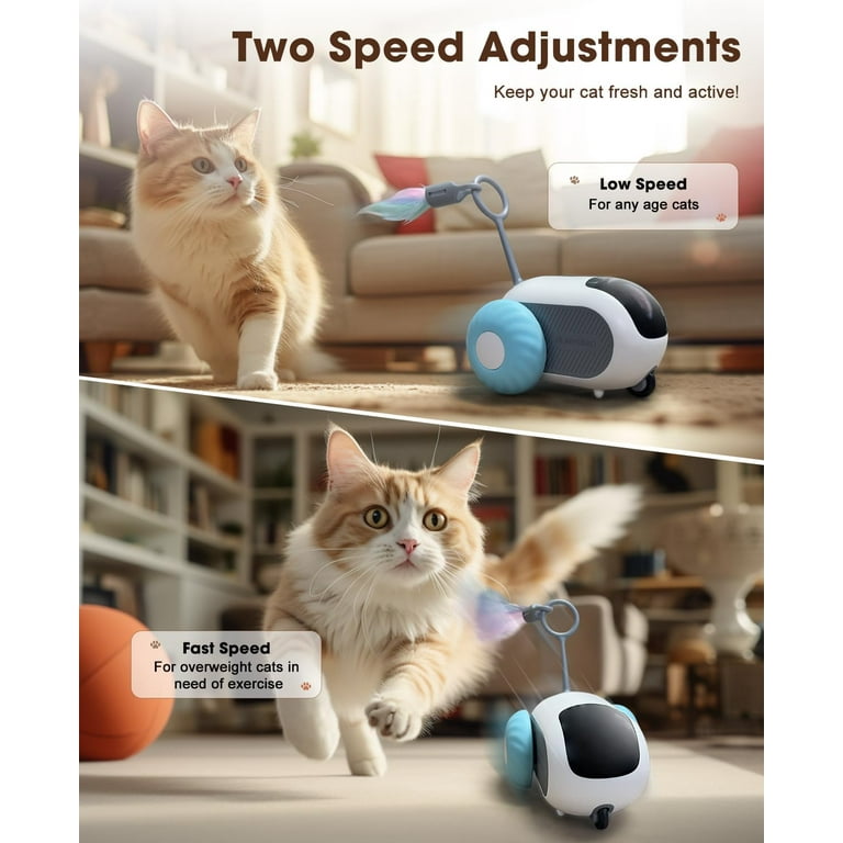 Toys for Indoor s, Smart Interactive Toy with Two-Speed Adjustment