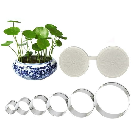 

Meizhencang 7Pcs/Set Fondant Mould Clear Texture Round Hydrocotyle Verticillata Petal Mould Cake Decorating Tools for Kitchen
