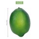 thumbnail image 4 of 28pcs/set Artificial Lemons And Limes Fruits Decorative Faux Citrus Fruits Artificial Decorations K, 4 of 5