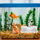 thumbnail image 4 of BESTYASH Acuario Cueva Para Peces Y Camarones Con De Doble Agujero Y Material ABS Resistente, 4 of 8