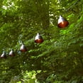 thumbnail image 3 of LumaBase Electric Cafe String Lights with 10 Brown Metal Domes, 3 of 7