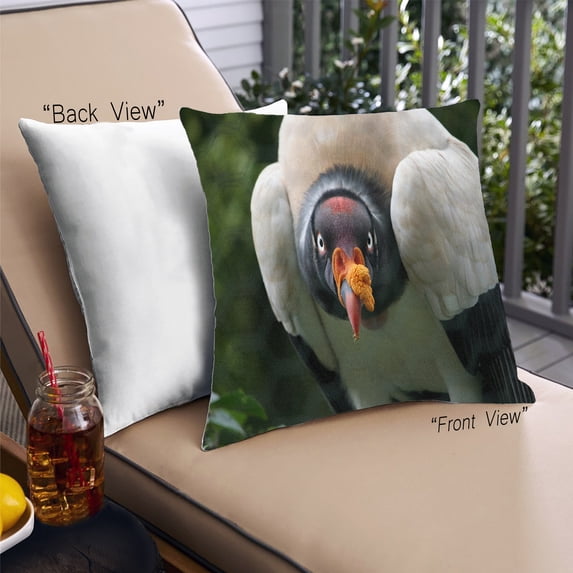 Ahgly Company Animals Vulture Outdoor Throw Pillow, 18 inch by 18 inch