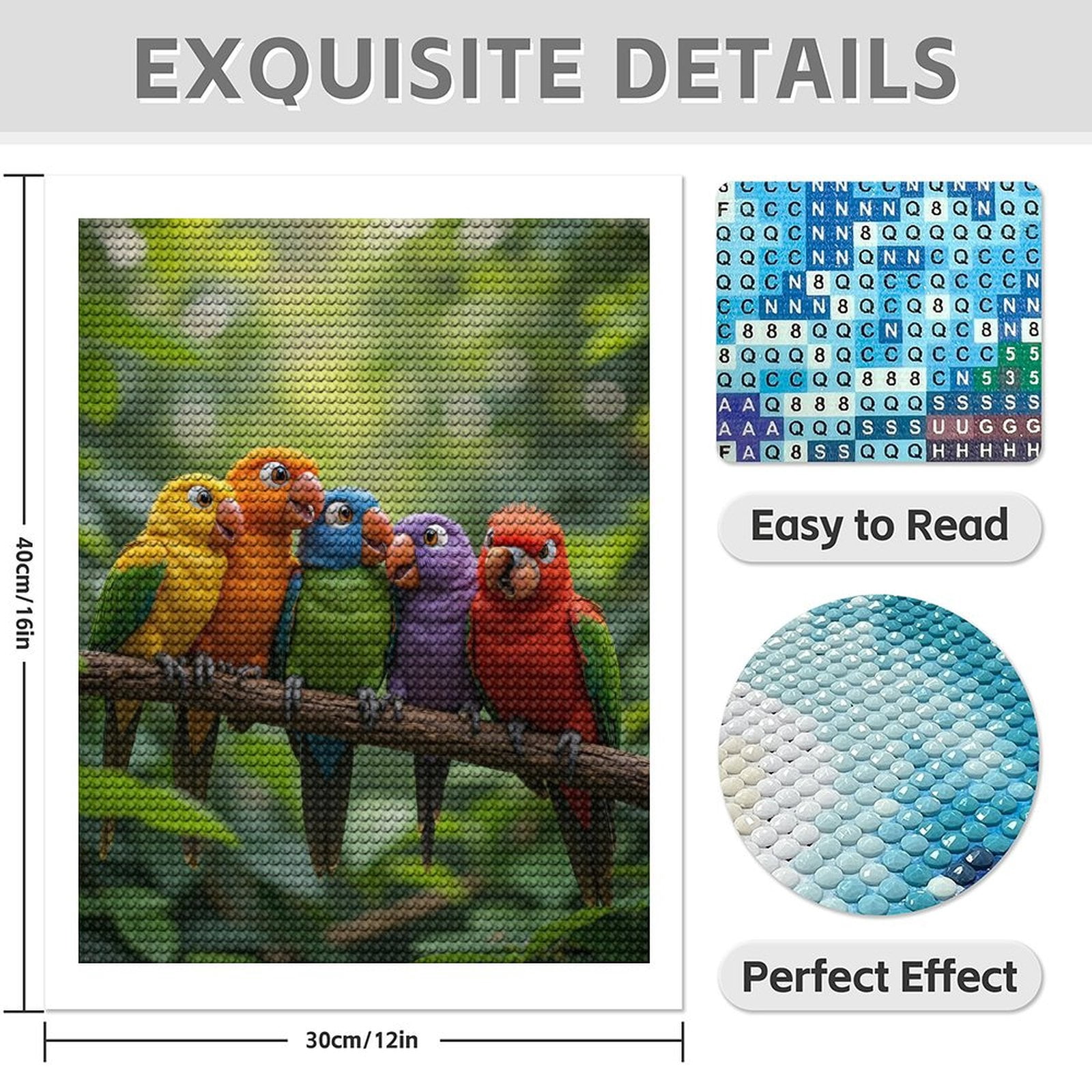 Diamond Art Kit for Adults, Colorful Birds Perched Together Diamond Painting for Adults Beginners, DIY Diamond Art Painting Kits, 5D Diamond Painting Crafts for Home Decor 12x16 Frameless