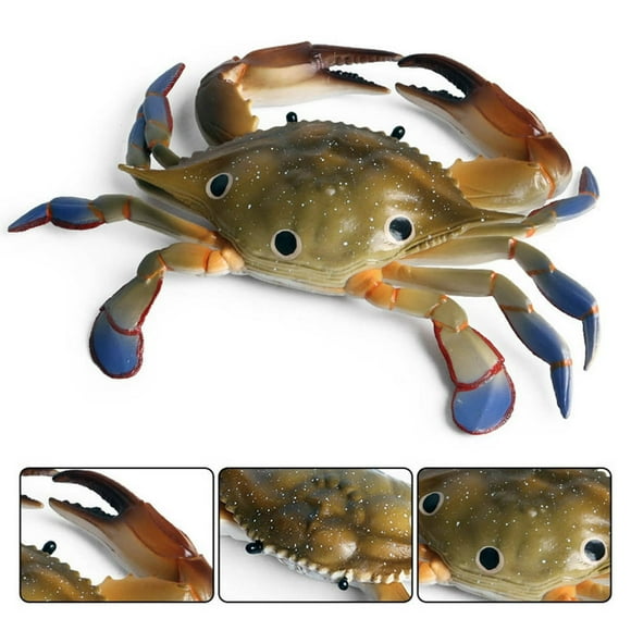 Modèle en Plastique de Crabe Marin à Pois Rouges Tachetés, Jouet pour Enfants, Ornement de Bureau