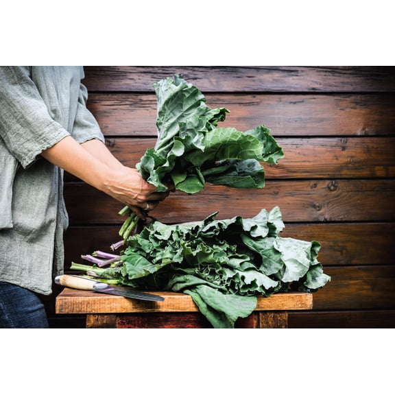 1500 Seeds MORRIS HEADING COLLARDS Collard Green Brassica Oleracea Vegetable Seeds