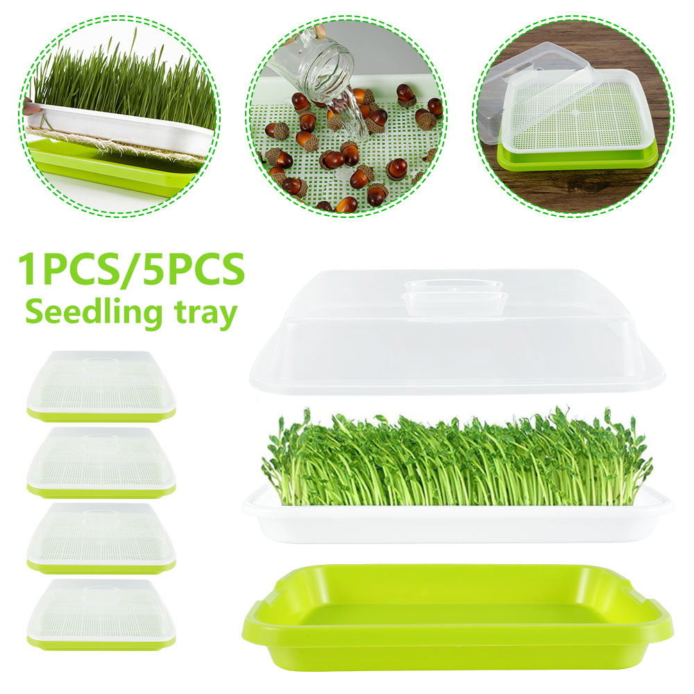 Cabilock Wheatgrass Sprout Tray Seed Sprouter Soilless Alfalfa Seeds Grower Sprouting Germination Basins Water Planting Containers 4pcs