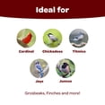 thumbnail image 2 of Alimento para mascotas Kaytee Songbird Wild Bird Blend 6,5 kg, 2 of 9