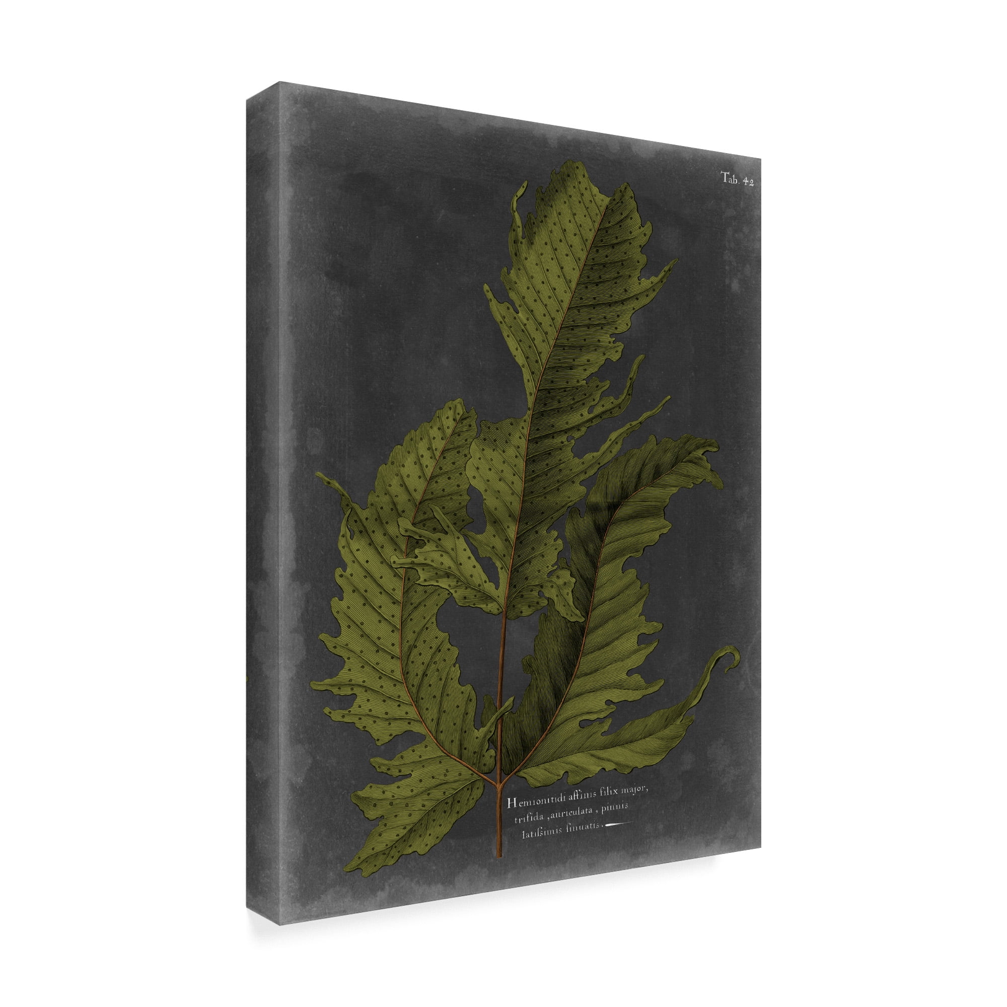 Trademark Fine Art 'Foliage Dramatique I' Canvas Art by Vision Studio