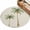 Tree, variant on 2x3 Washable Area Rugs,Retro Green Palm Trees on Linen Non-Slip Ultra Soft Rug Large Indoor Carpet,Coastal Tropical Plants Floor Rugs for Home Living Room Bedroom Dining Room Office