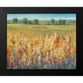 thumbnail image 2 of OToole, Tim 24x20 Black Modern Framed Museum Art Print Titled - Gold and Red Field I, 2 of 5