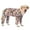 Camouflage, variant on Dog Summer Jumpsuit,Pjs Camouflage Printing Sunscreen Cooling Dog Onesie chilly Jumpsuit Shirt Anti-Hair Apparel for Medium Large Dogs Strawberry 36
