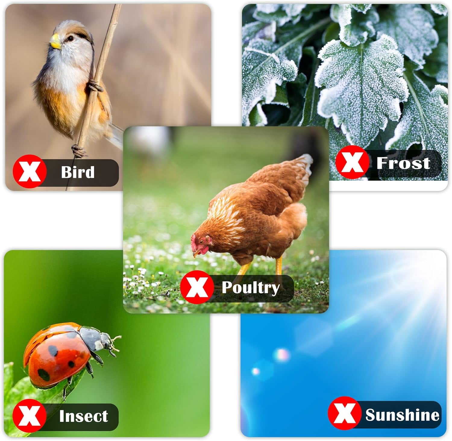 6 Pcs Insect Bird Barrier Tree Net with Drawstring, 2 Sizes Garden Bird Netting Plant Cover, Fruit Tree Netting for Protect Plants Fruits Flowers from Insect Bird Eating