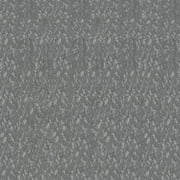 الصدأ الأوليم يتوقف الصدأ الرمادي