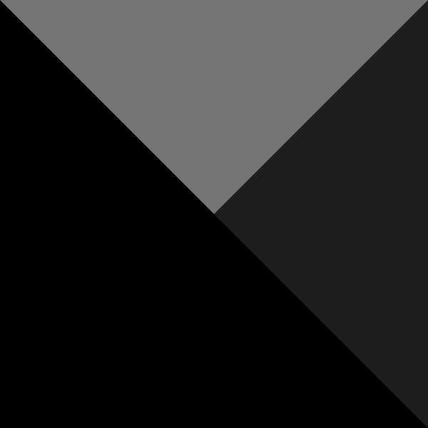 Black Sparrow 2