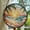 Beach Life,, variant on Canada Goose Glass Suncatcher, Lake Birds Window Decor, Nature Sun Catcher, Waterfowl Art Gift, Goose Lover Home Accent, Stained Glass Ornament 2025, Holiday Decoration, Seasonal
