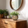 thumbnail image 6 of Ordivic 4 inch Brown Ceramic Planter with Drainage Hole & Plug, Small Desktop Plant Pot for Mini Pothos, Baby Aloe,Jade Plant ,Bedroom Dorm Office Indoor Decor, 6 of 7