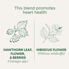 (4 pack) Traditional Medicinals, Organic, Hawthorn & Hibiscus, Tea Bags, 16 Ct