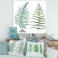 thumbnail image 2 of Designart ' Two Fern Leaves On White ' Farmhouse Canvas Wall Art Print, 2 of 4