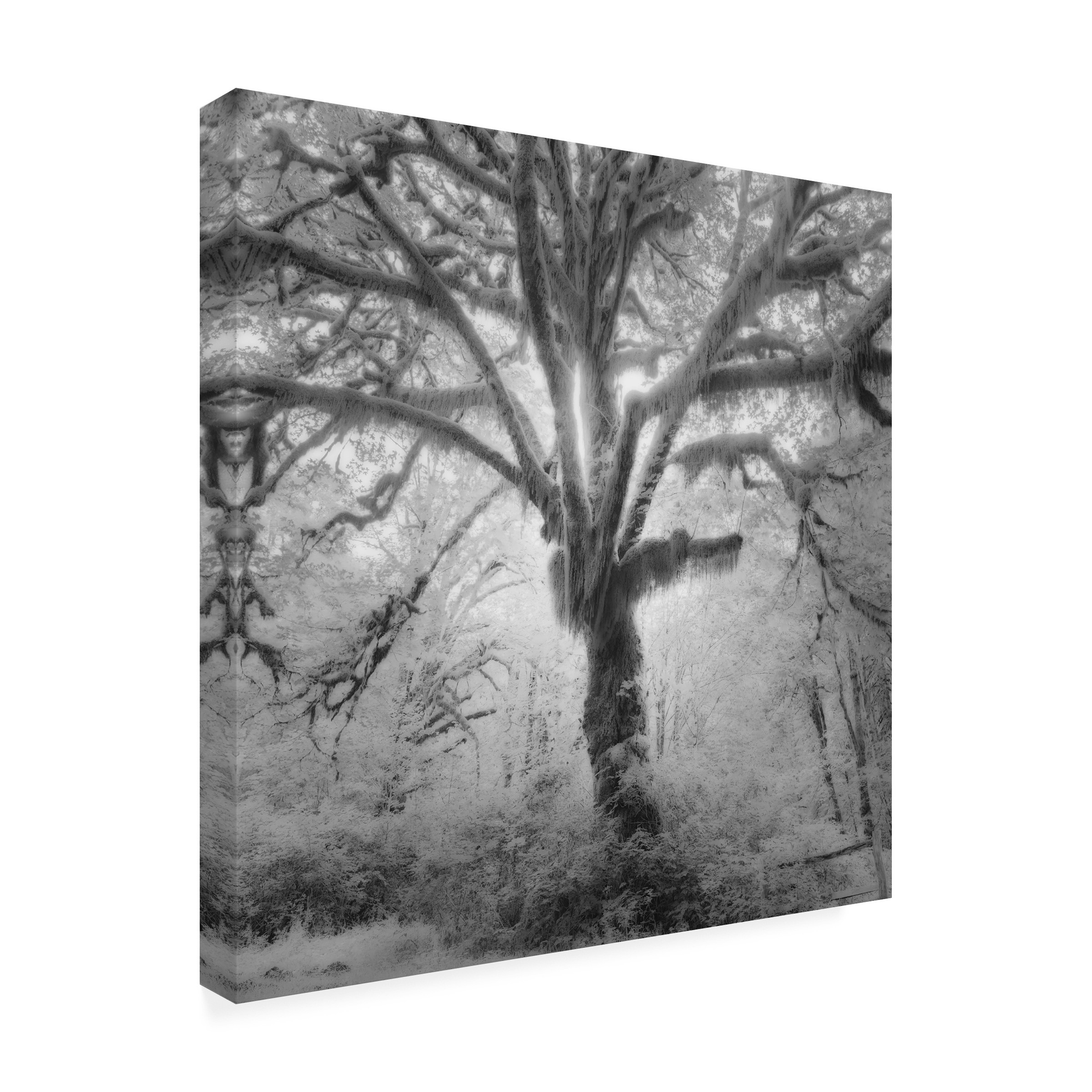 Moises Levy 'Lightning Tree II' Canvas Art