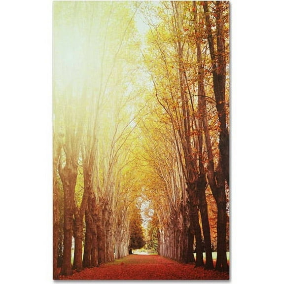 "Fountains of Light" Canvas Art by Philippe Sainte-Laudy