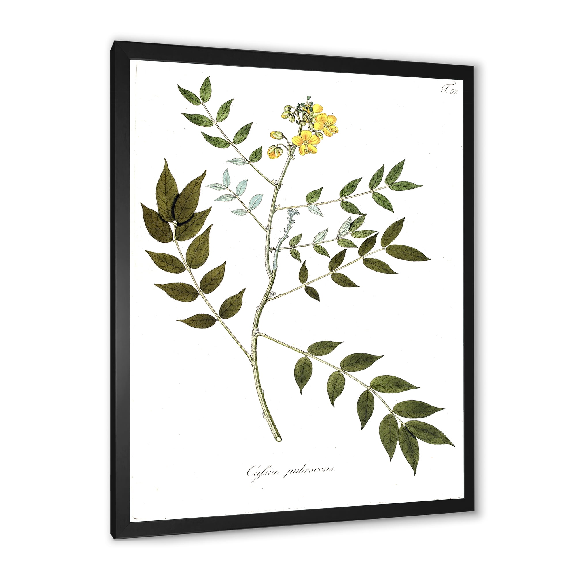 Designart 'Ancient Botanicals XVIII' Traditional Framed Art Print