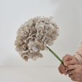 thumbnail image 2 of HSHDLDF KISLOHUM 10 Pcs Hortensias Fleurs Artificielles, 2 of 6