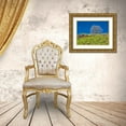 thumbnail image 3 of Eggers, Terry 14x12 Gold Ornate Wood Framed with Double Matting Museum Art Print Titled - USA-Washington State Lone Tree on hillside with spring wildflowers, 3 of 4