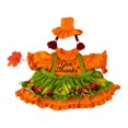 thumbnail image 2 of Qwtwty 23 Inch Porch Goose Clothes for Thanksgiving, Lawn Goose Decorative Outfit for Halloween Thanksgiving Outdoor Patio Yard Garden Decor, 2 of 7