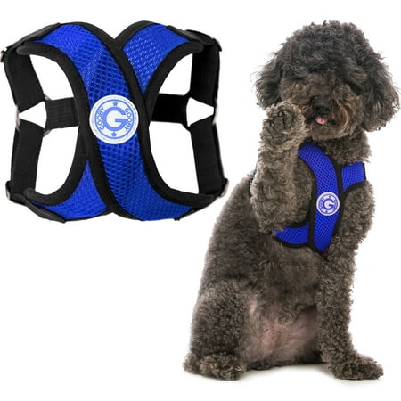 UPC: 0841186101460 | Gooby Comfort X Step-In Harness – Blue Medium – Breathable Lightweight and Wrinkle Free Mesh Harness with Patented Choke-Free X Frame for Small Dogs and Medium Dogs