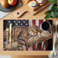 thumbnail image 2 of Sleeping Cat Vintage American Flag Placemats Set of 12 Funny Animal Place Mats Indoor Wipeable Table Mats Washable Cloth Dining Table Placemats for Kitchen Holiday Party Home Decor 13x19 Inch, 2 of 9