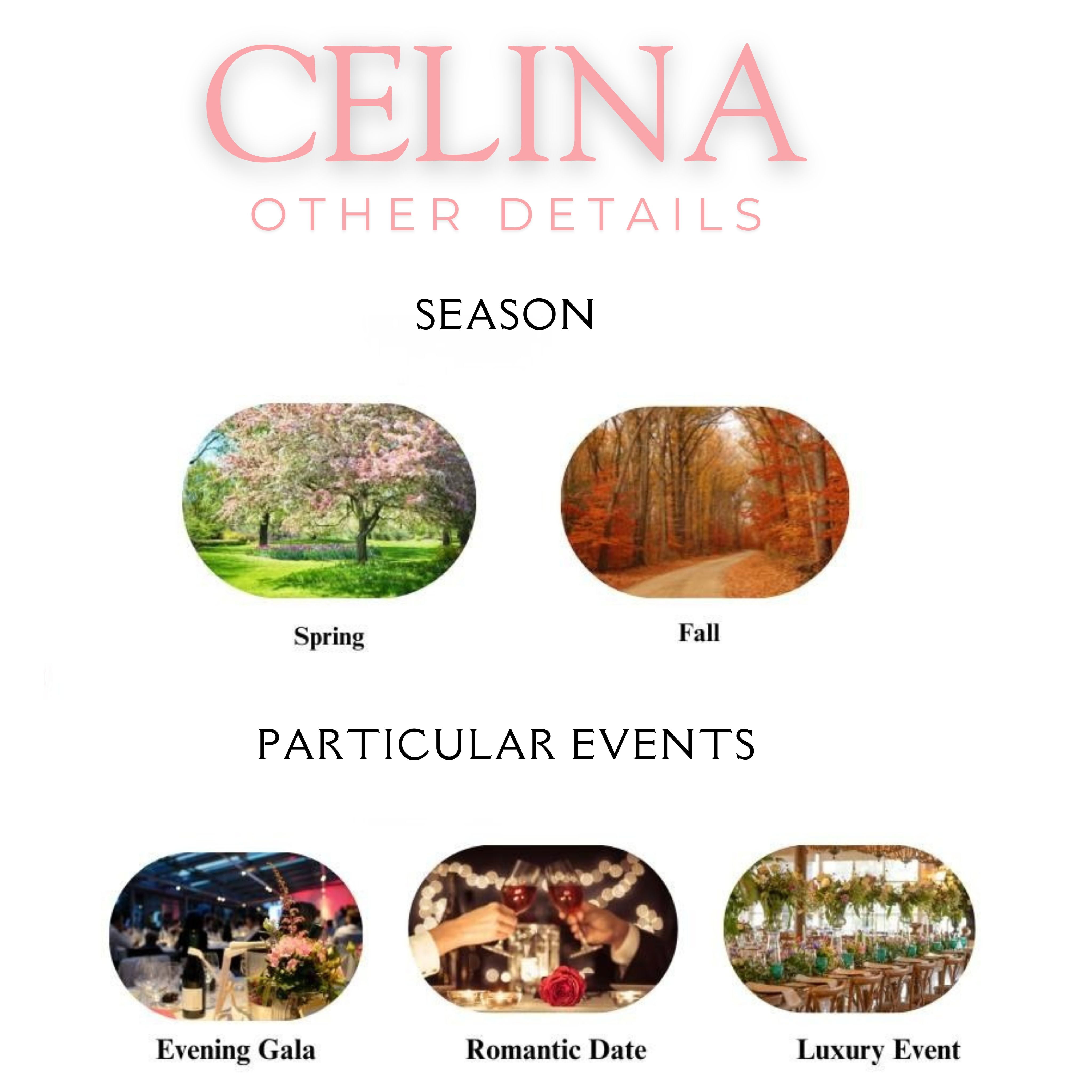 Celina 100 ML EDP Perfume | Impression Of Delina | Romantic Floral Rose Fruity Fresh Musky Long Lasting Fragrance for Women
