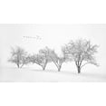 thumbnail image 2 of Xu, Mei 14x10 Black Ornate Wood Framed with Double Matting Museum Art Print Titled - White World, 2 of 4
