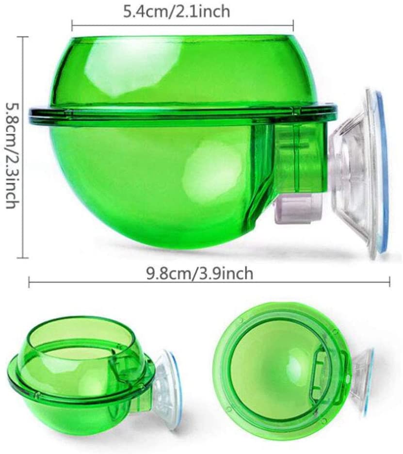 chameleon water bowl