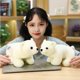 thumbnail image 5 of 24/28cm Cute Sea World Animal White Sea Lion Seals Plush Doll Cute Cartoon Polar Bear Panda Stuffed Toy For Children Kids Girls, 5 of 5