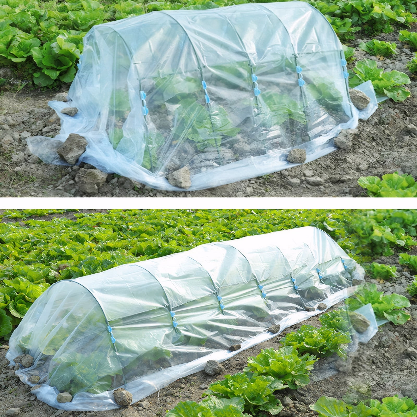 TOPCHANCES Greenhouse Plastic Film Sheeting Cover, Clear Garden Polyethylene Film, Green House Hoop Supply Farm Plastic Cover for Greenhouse Plants, 6.5' x 19.7'