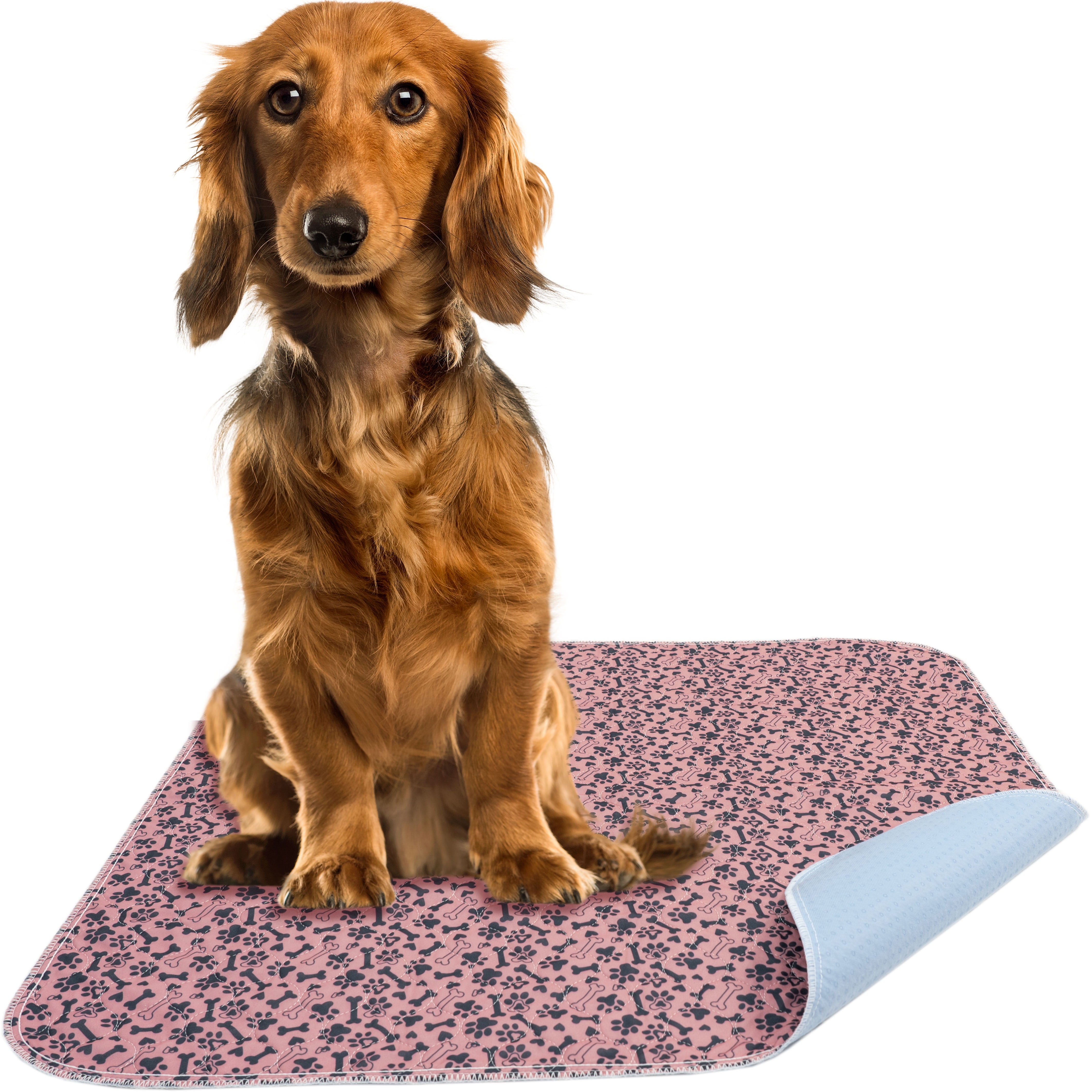 2 pk - 24 x 30 Washable Pee Pads for Dogs Superior Reusable Puppy Pads Pet Training Pads - 100% Waterproof Dog Pee Pad Protects Against Urine Leakage Non-Slip Grip - Paws & Bones Print