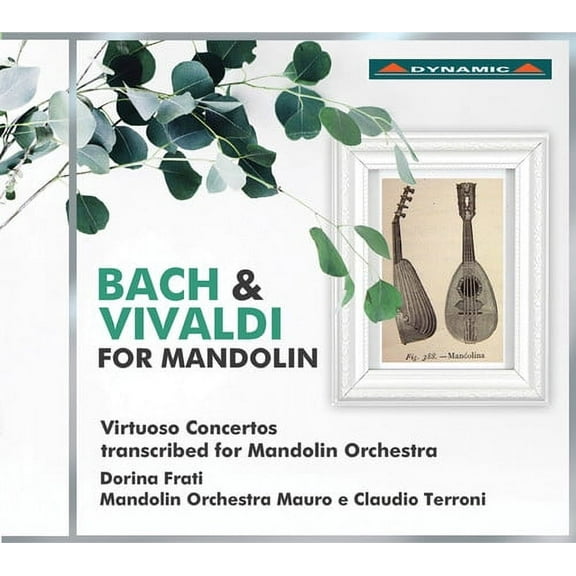 Bach,J.S. / Vivaldi / Frati / Tenchini - Bach & Vivaldi for Mandolin - Music & Performance - CD