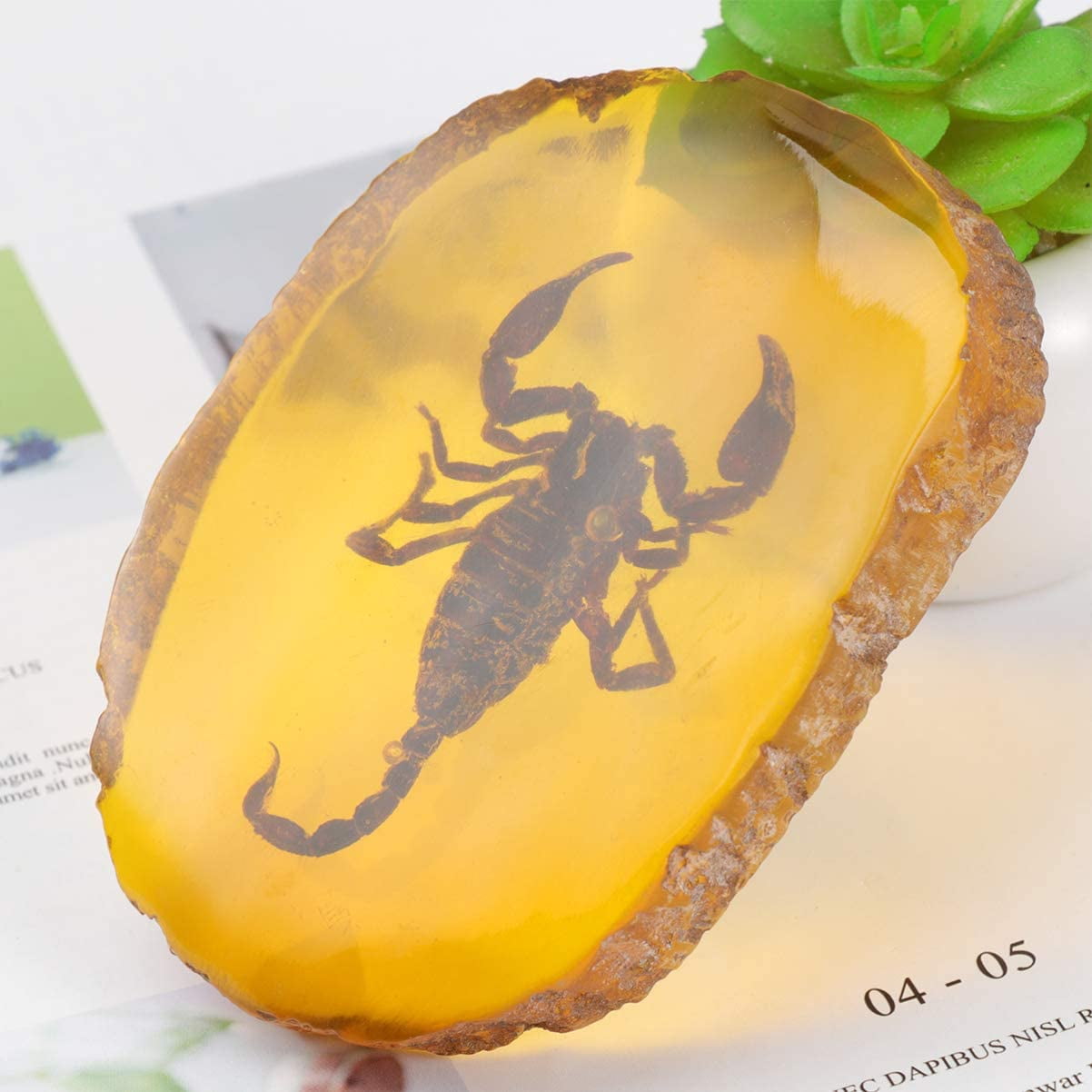 Garneck Amber Fossil Insect,Artificial Amber Insect Specimen Pendant Butterfly Scorpions Insects Amber Stone Ornament for Collection Dragonfly 